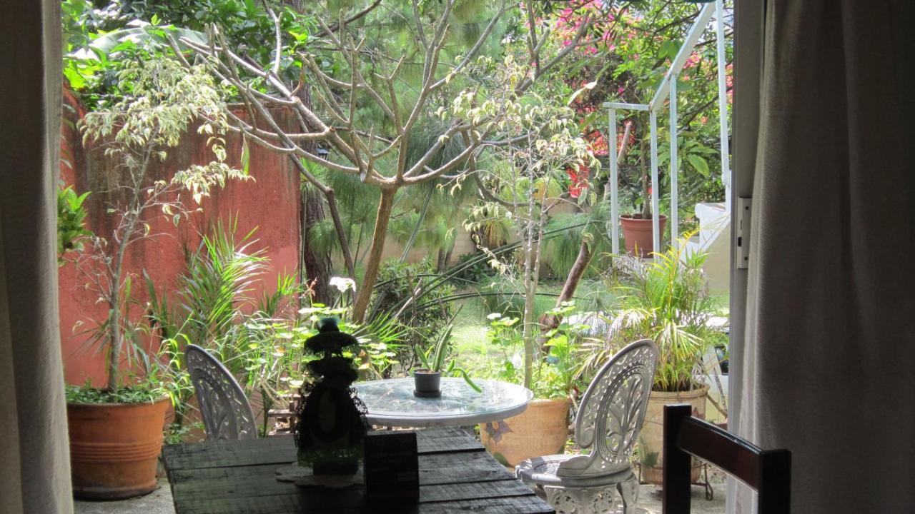 Hotel Villa Oaxaca מראה חיצוני תמונה