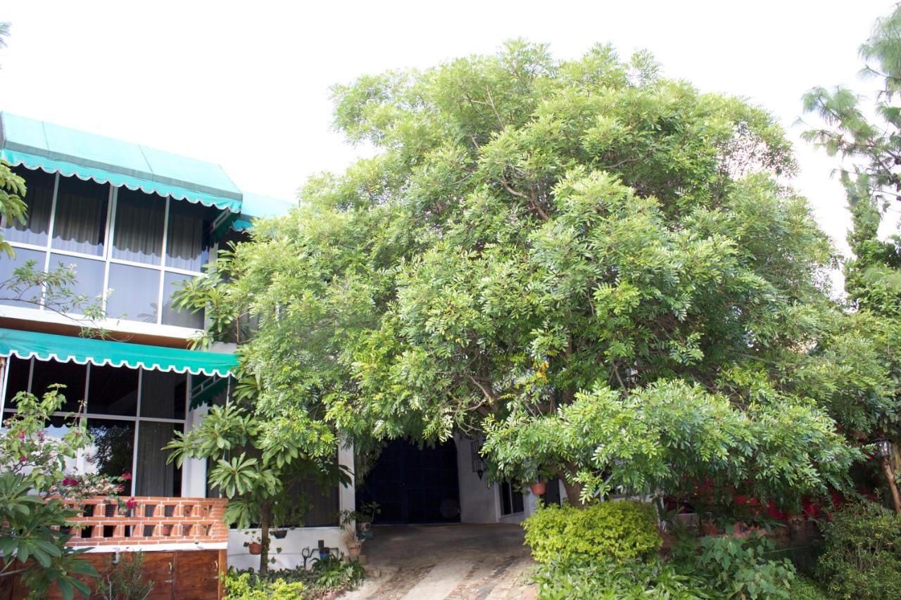 Hotel Villa Oaxaca מראה חיצוני תמונה